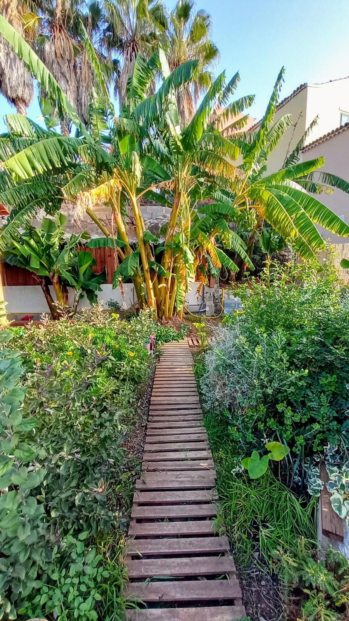 Finca Don Pedro Санта-Крус-де-Тенерифе Экстерьер фото